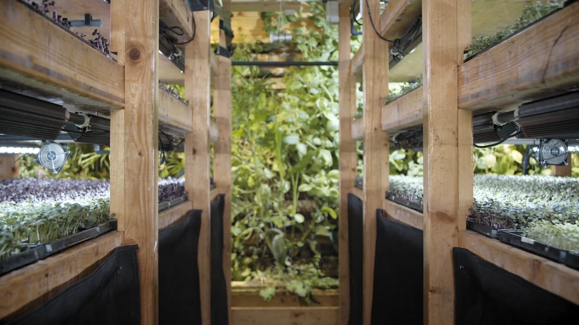 Minivoices – Umami – Sustentabilidade urbana